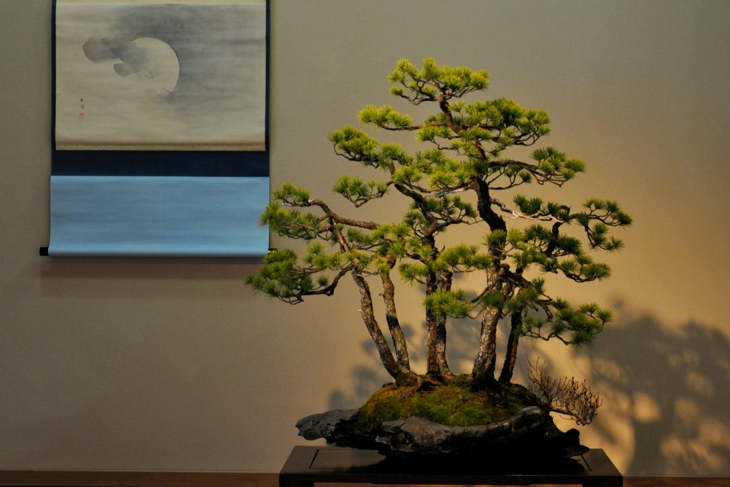 The Omiya Bonsai Art Museum, Saitama