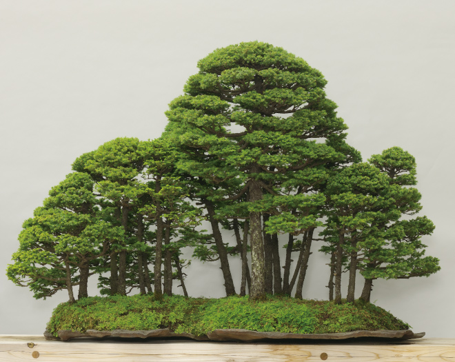 埼玉市大宮盆栽美術館 埼玉市大宮盆栽美術館