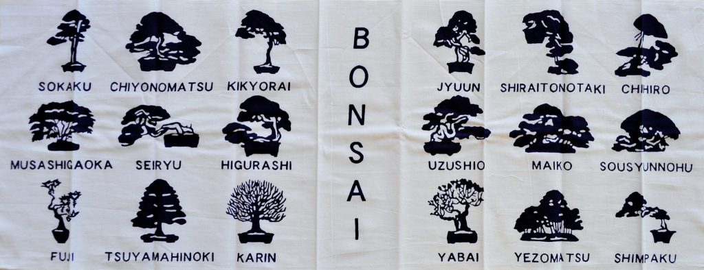 與手巾專營店「Kamawanu」合作的手巾/BONSAI