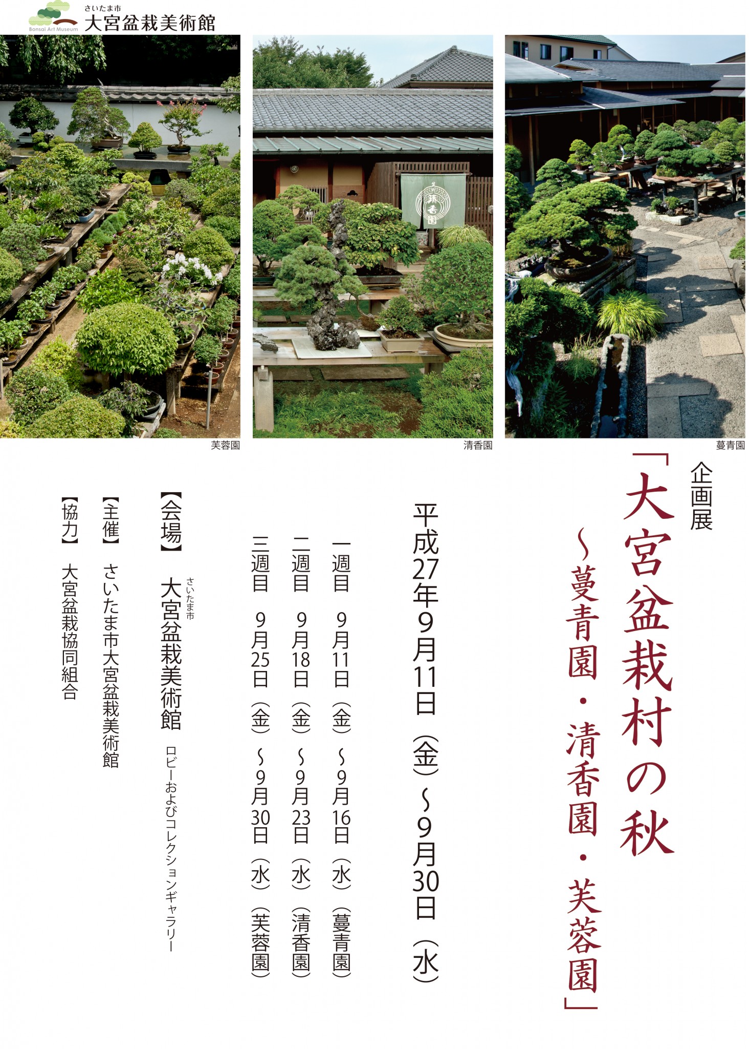 企画展「大宮盆栽村の秋～蔓青園・清香園・芙蓉園」