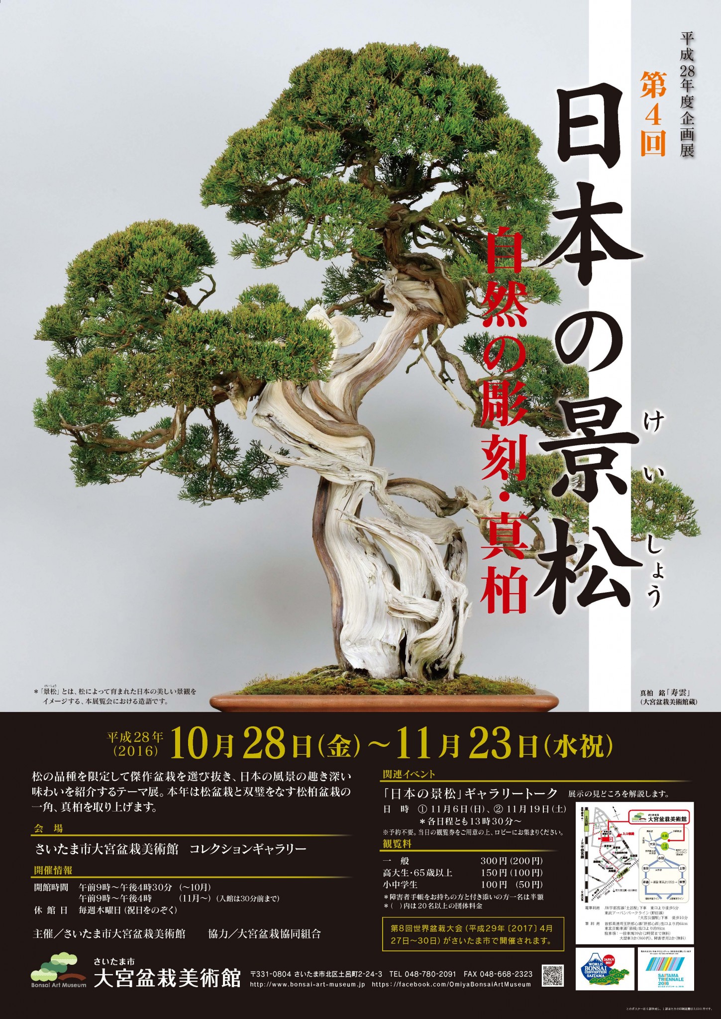 The Japanese Landscape with Shimpaku, Japanese Juniper