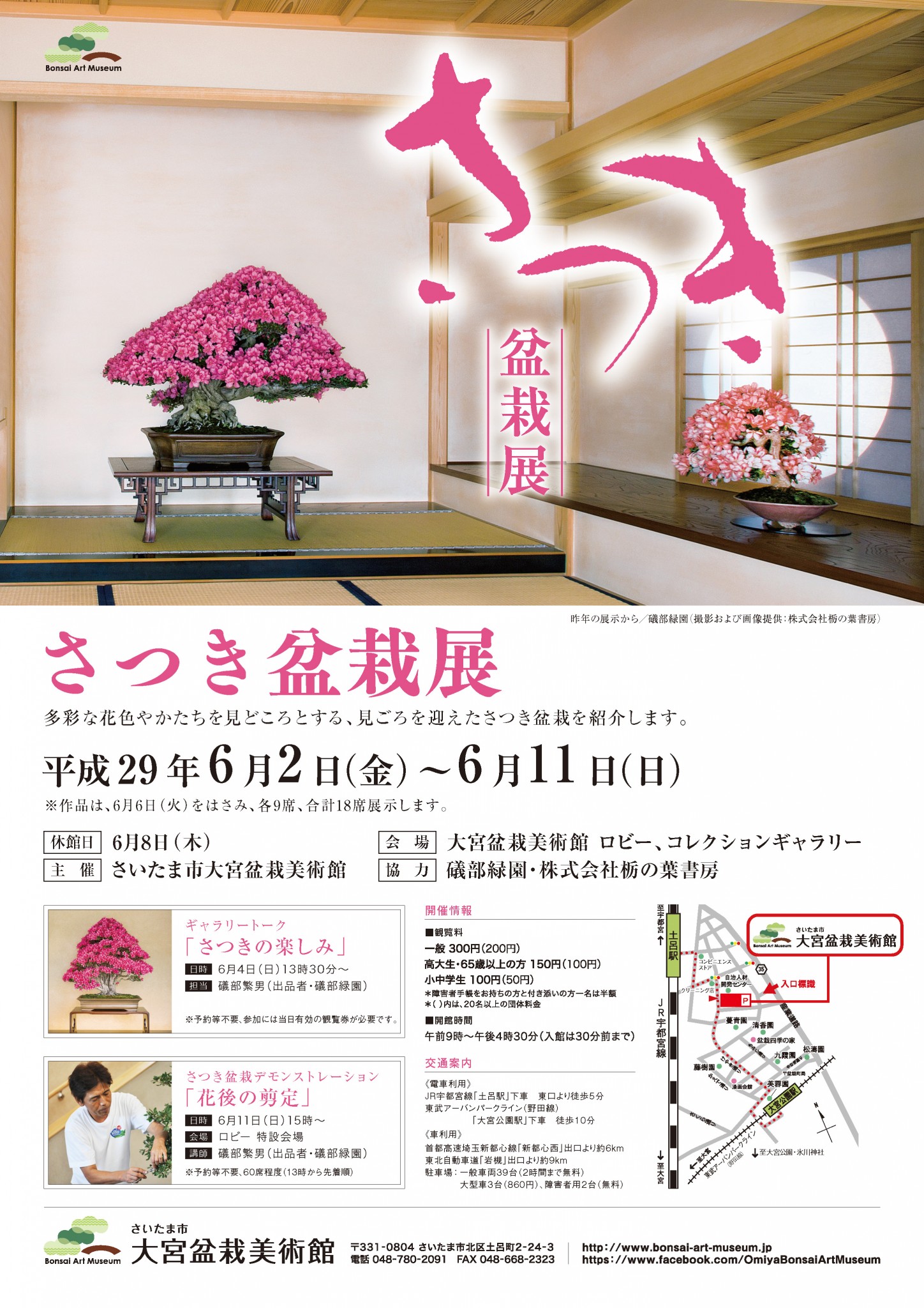 Satsuki (Azalea) Exhibition