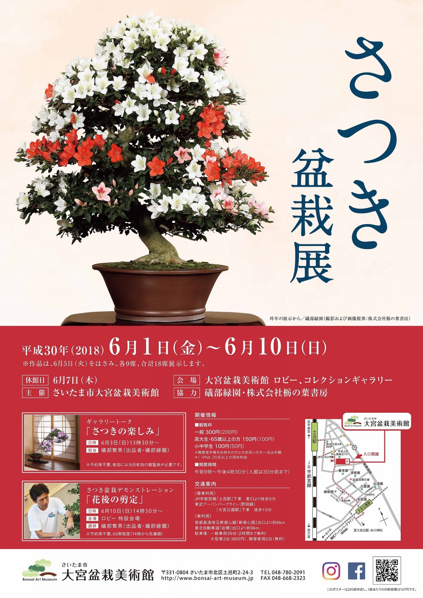 Satsuki Azalea Bonsai Exhibition