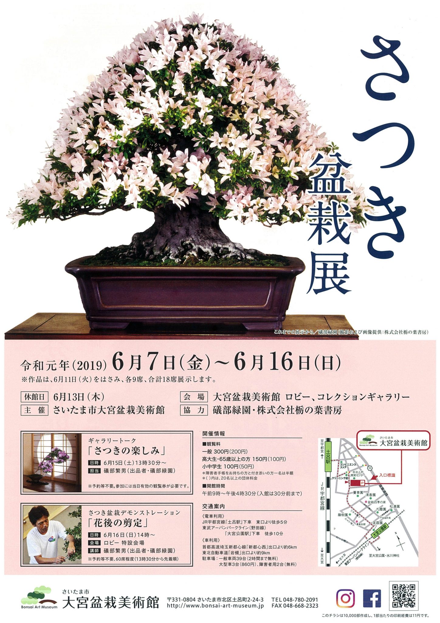 Satsuki Azalea Bonsai Exhibition