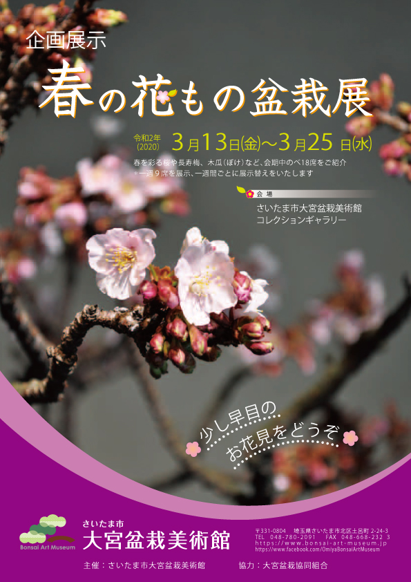 【中止】 企画展「春の花もの盆栽展」