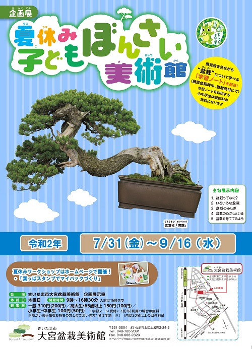 Bonsai Cultural Exhibition for Kids