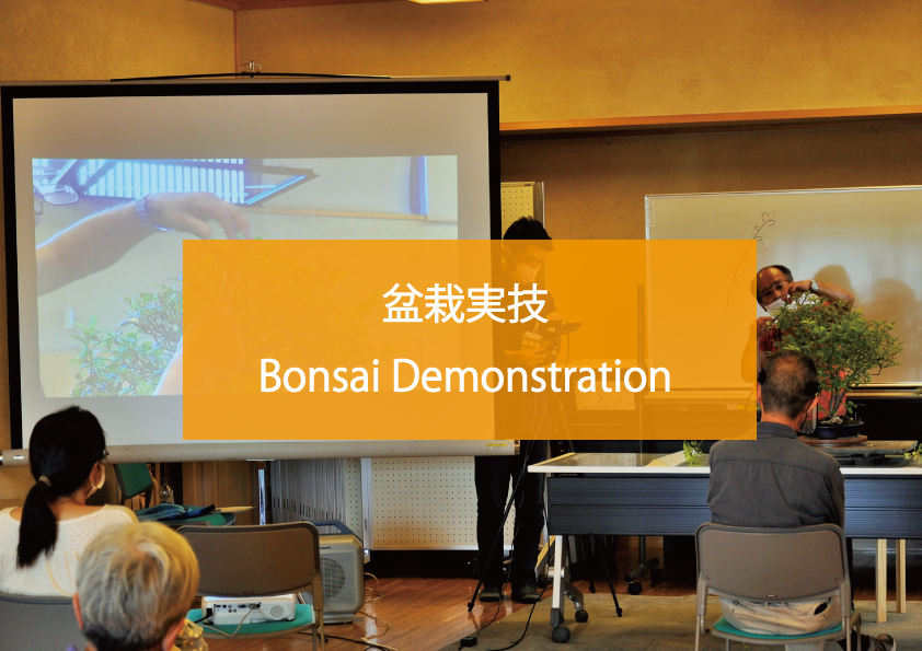 Bonsai Demonstration