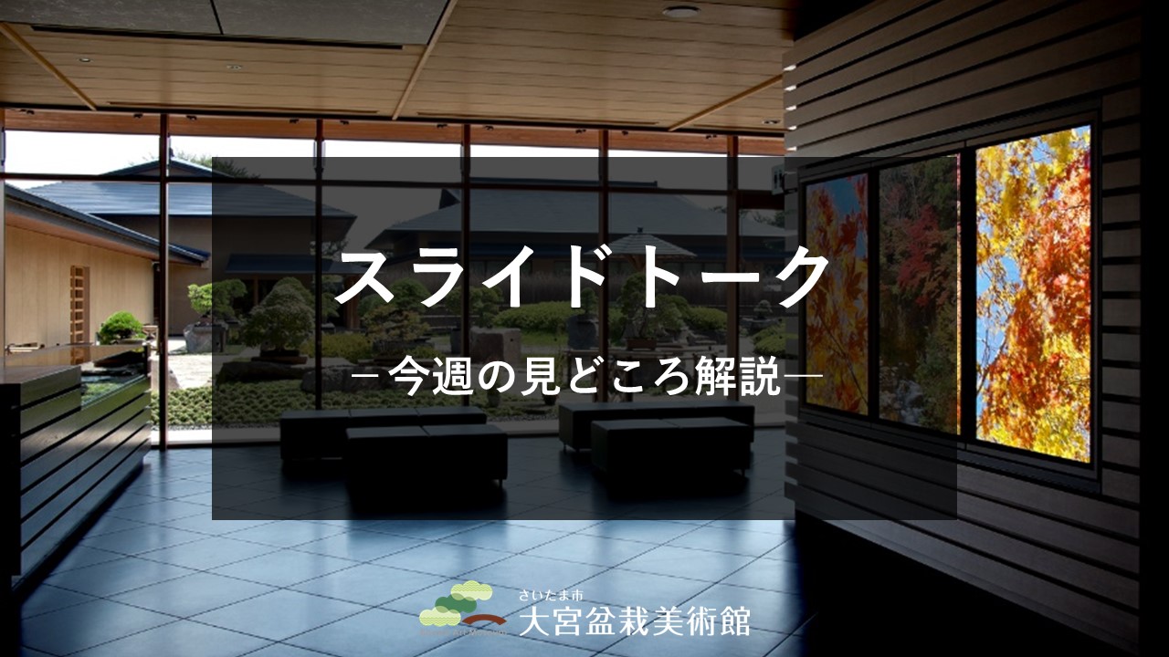 スライドトーク（見方・見どころ解説）※令和5年４月までの配信映像