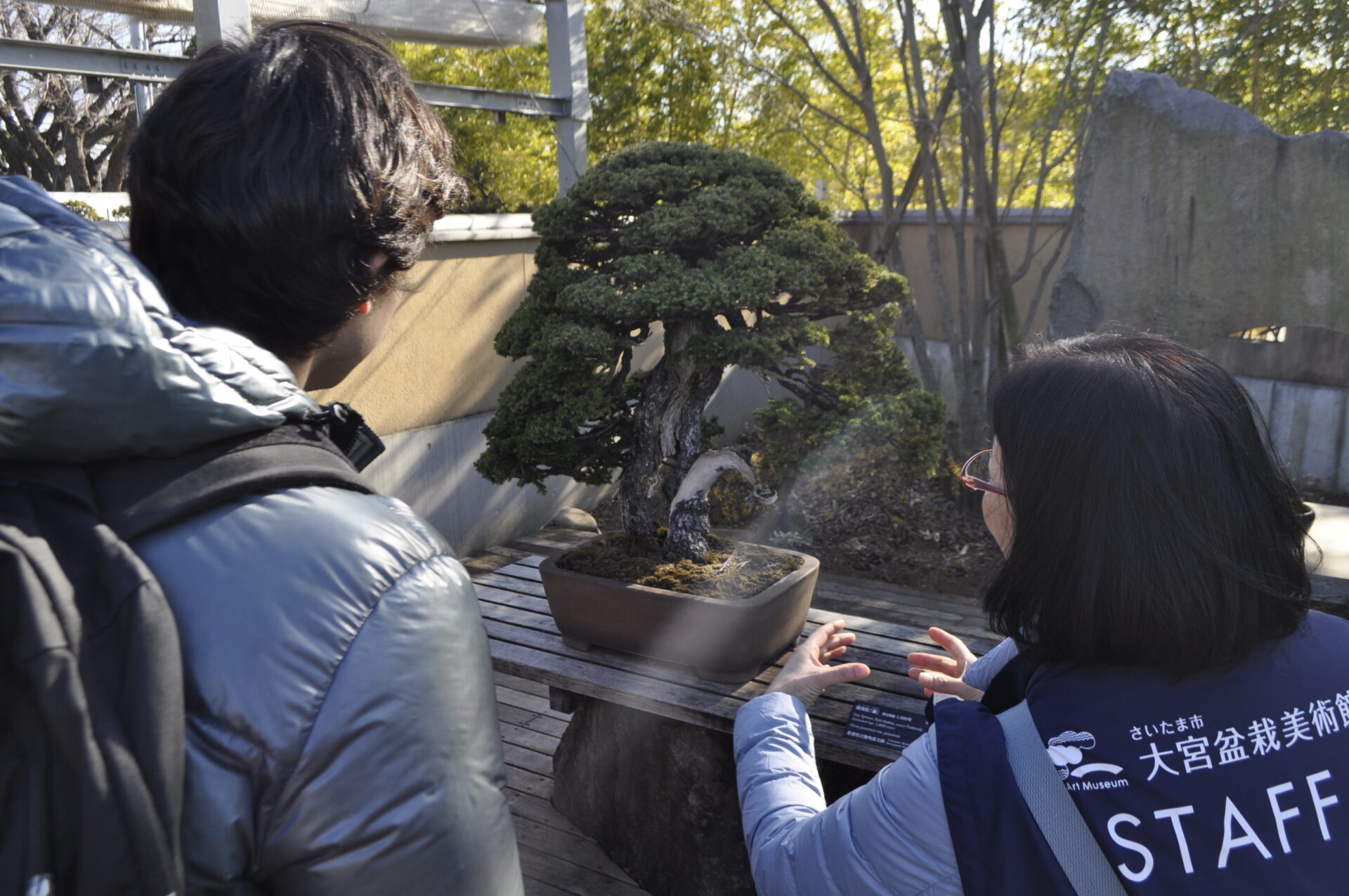 Giving a guide to a foreign visitor (bonsai garden guide).