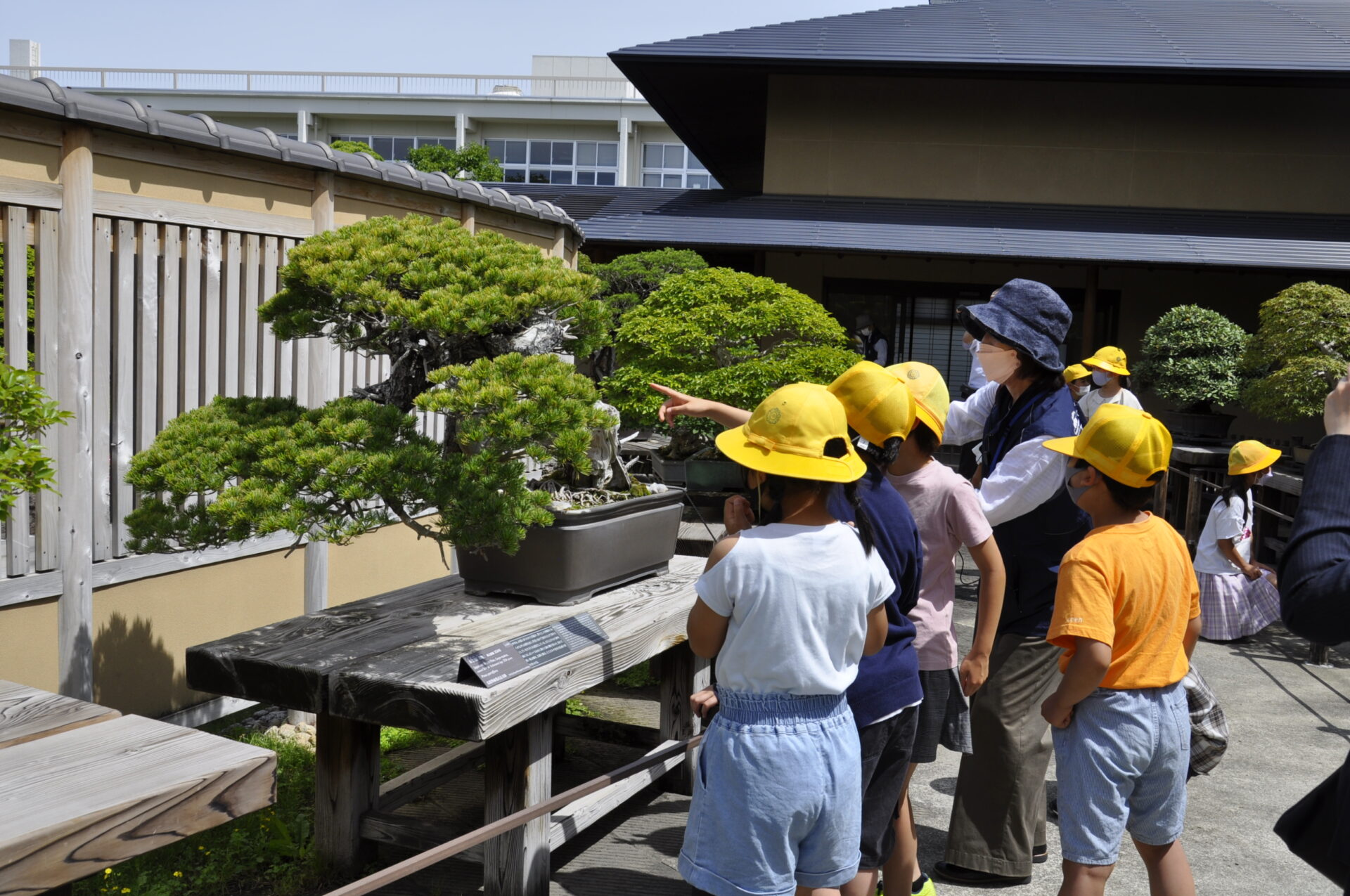 Introducing the exhibits to elementary school students (bonsai garden)