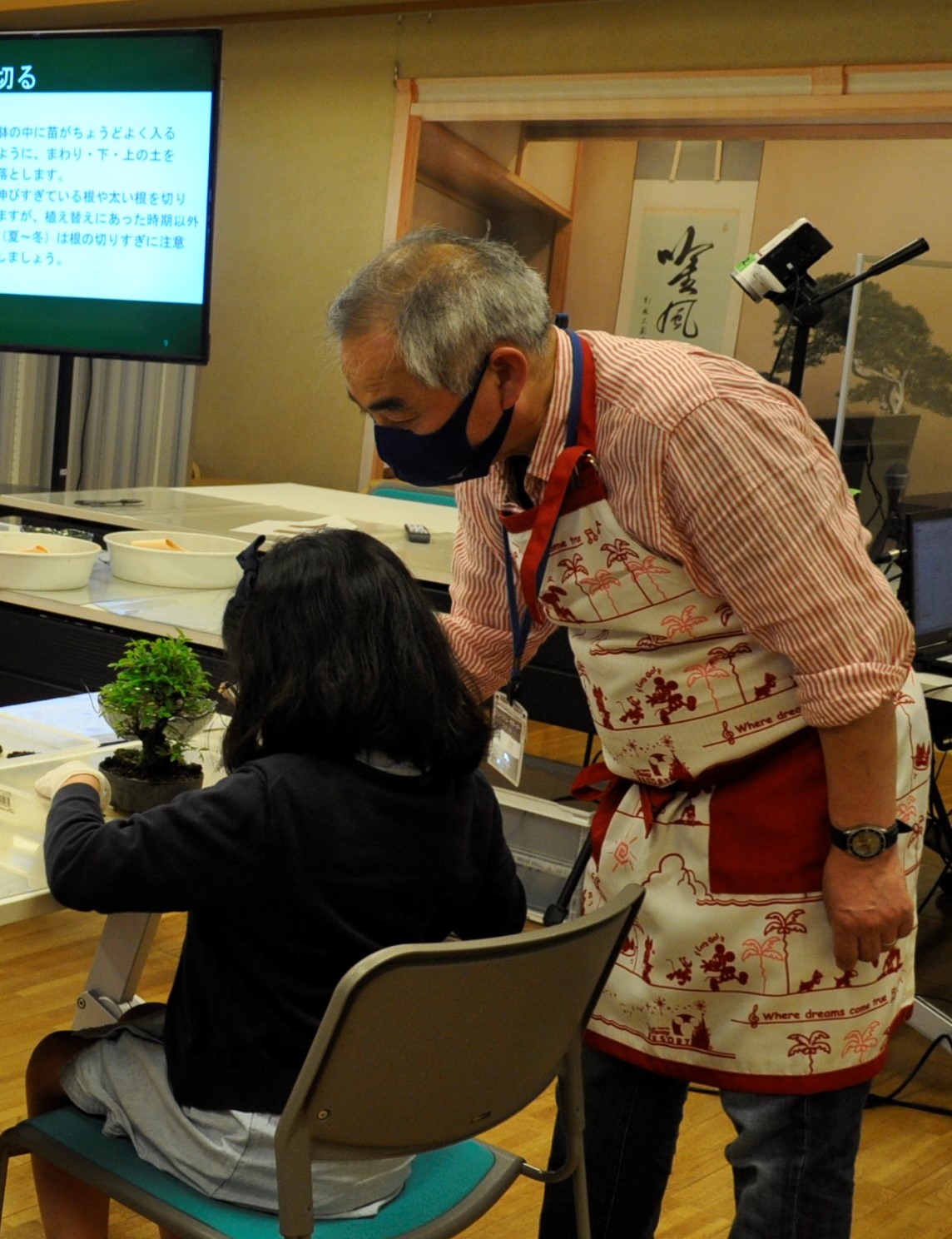 Support making a bonsai (during a workshop)