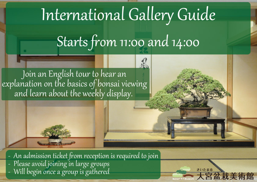 International Gallery Guide (English)