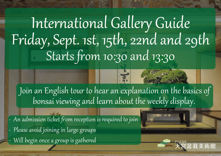 International Gallery Guide (English)