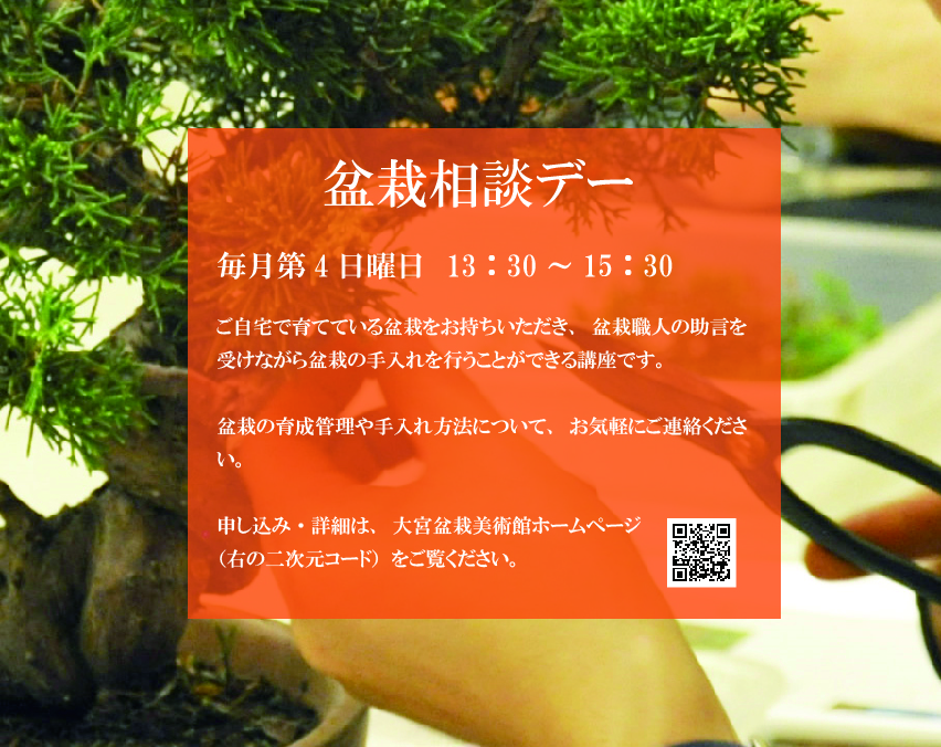 盆栽相談デー