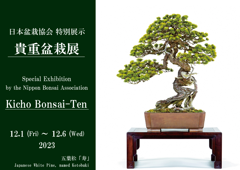Nippon Bonsai Association Special Exhibition – Kicho Bonsai-Ten