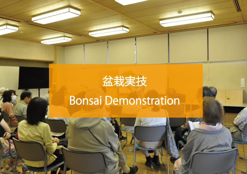 Bonsai Demonstration