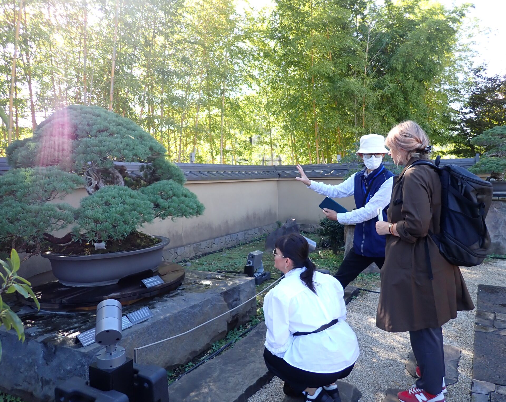 Welcome Monday   Bonsai is also very popular abroad. The number of international visitors have increased.