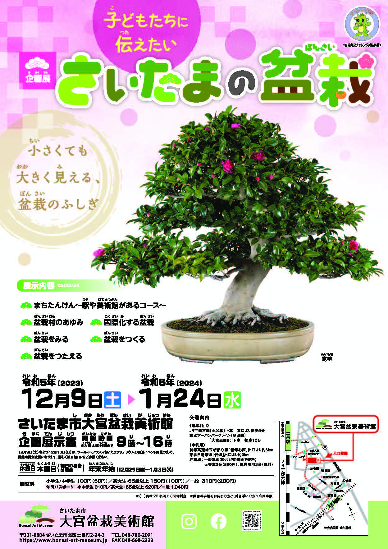 Exhibition – Teaching Saitama Bonsai to Children