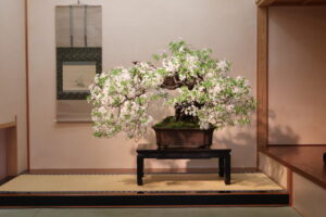 山田登美男（作）山桜