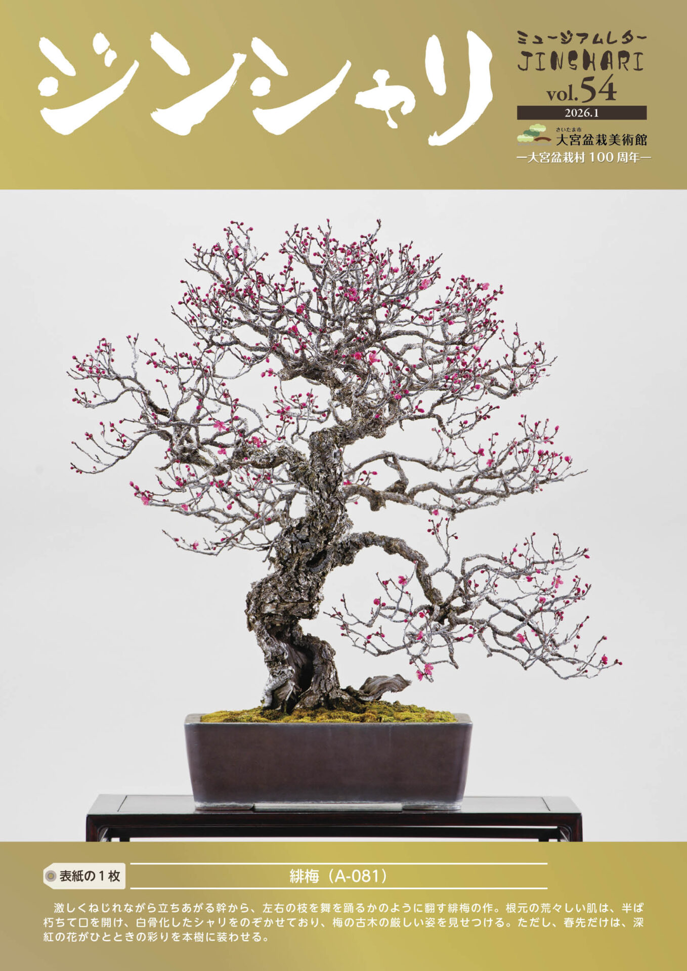 ジンシャリ Vol.54