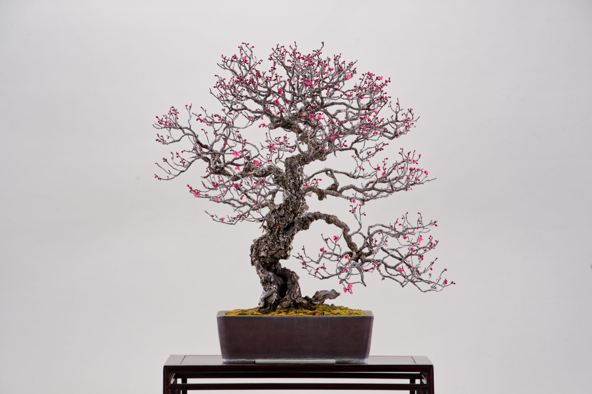 ジンシャリ Vol.54