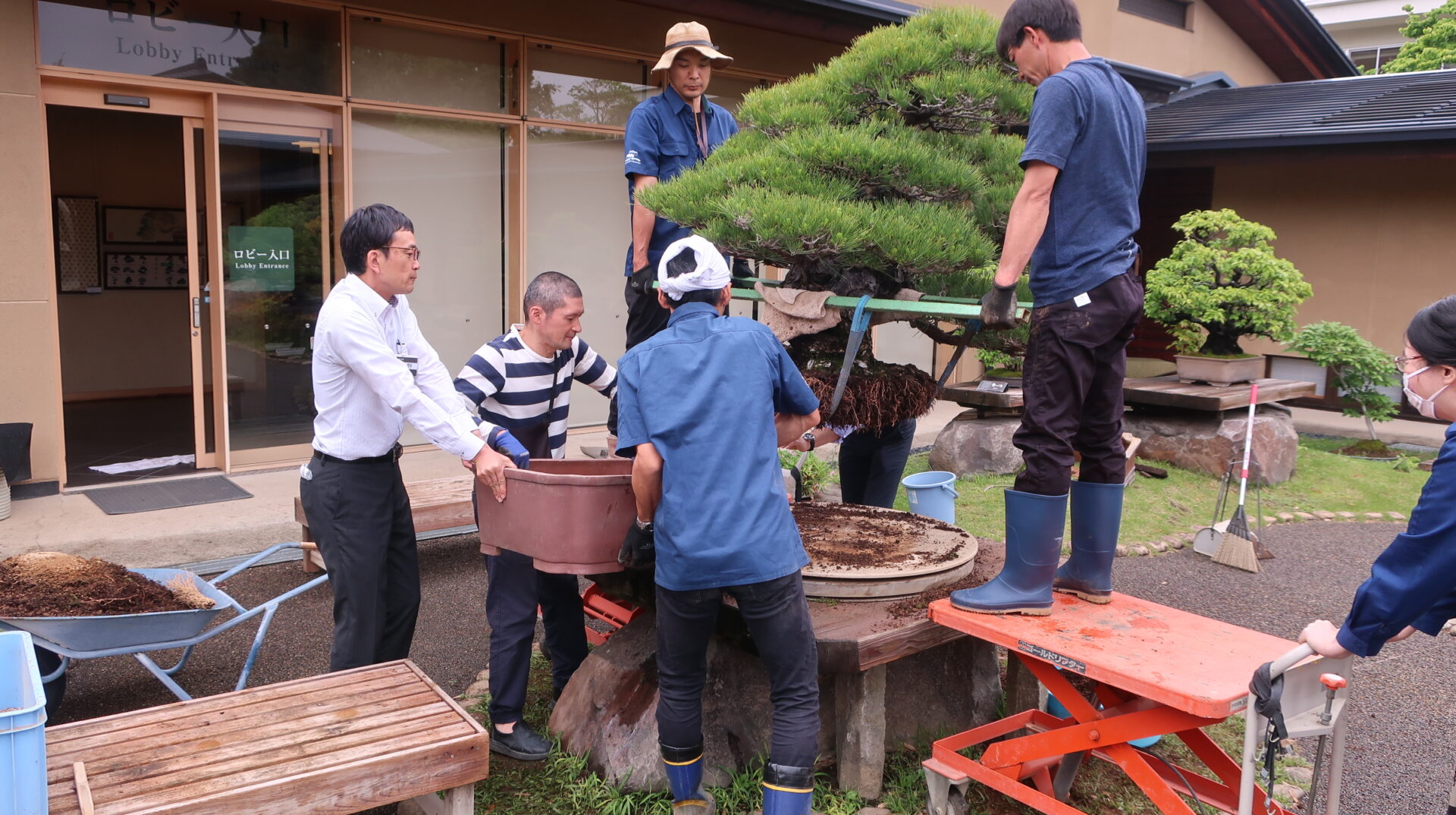 新しい鉢を差し入れる
