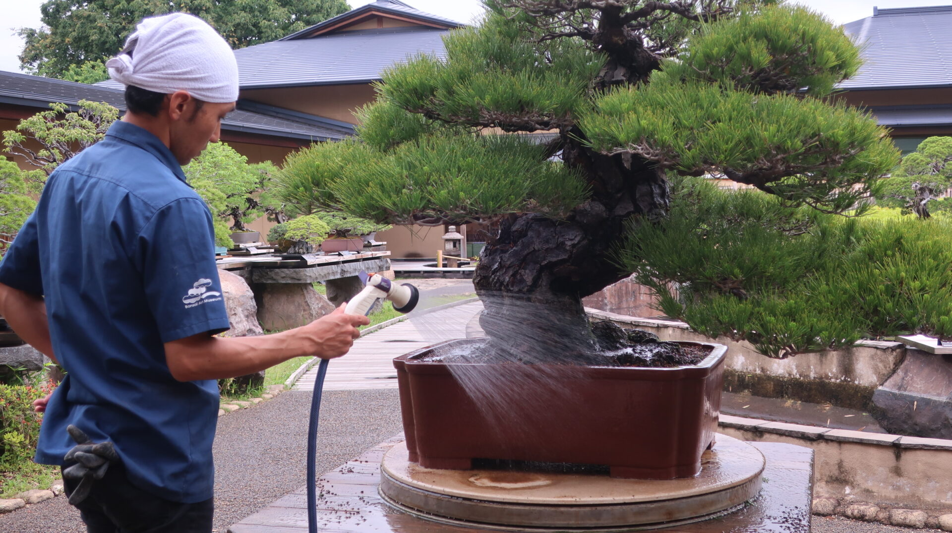 たっぷり水を挙げて完成!!