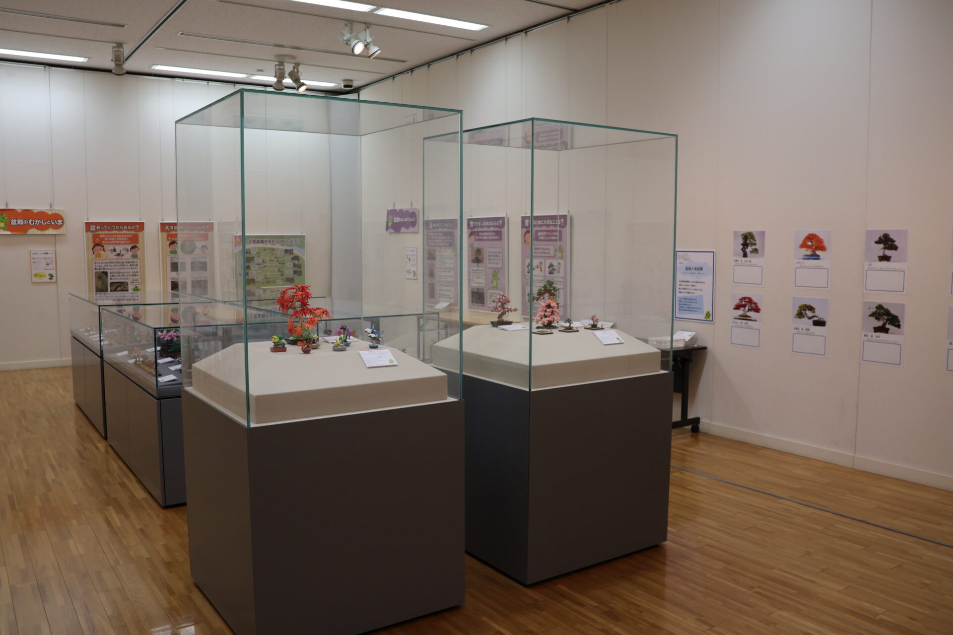 【予告】企画展「夏休み子どもぼんさい美術館」