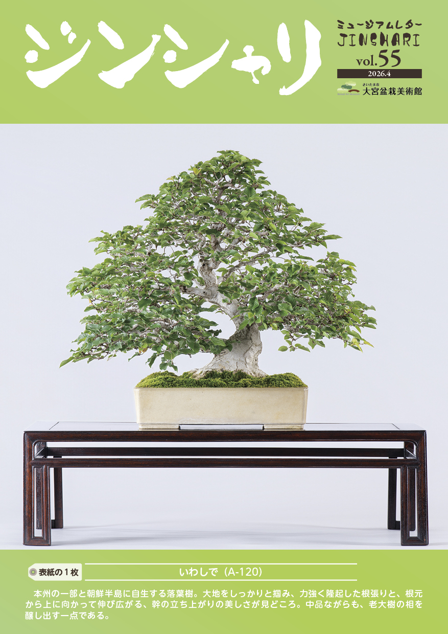 ジンシャリ Vol.55